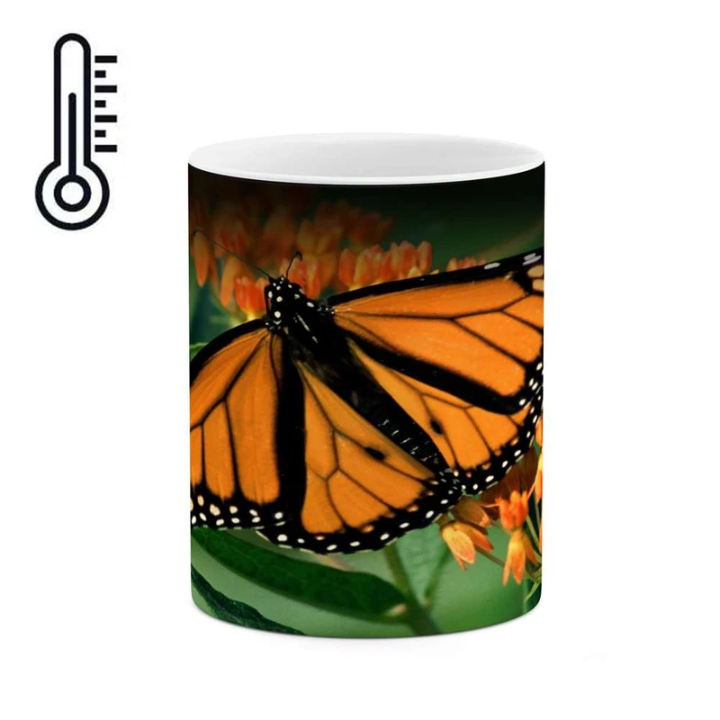 ماگ حرارتی کاکتی مدل پروانه کد mgh17690