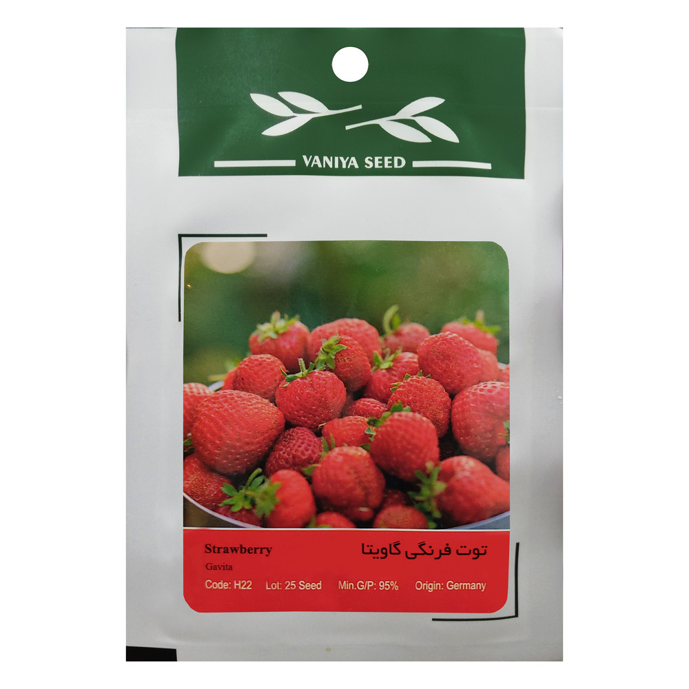 بذر توت فرنگی گاویتا وانیا سید مدل H22