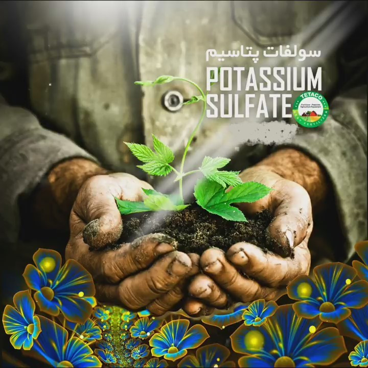 کود سولفات پتاسیم NPK 0-0-50 تتاکو مدل GROWFAST وزن 1 کیلوگرم
