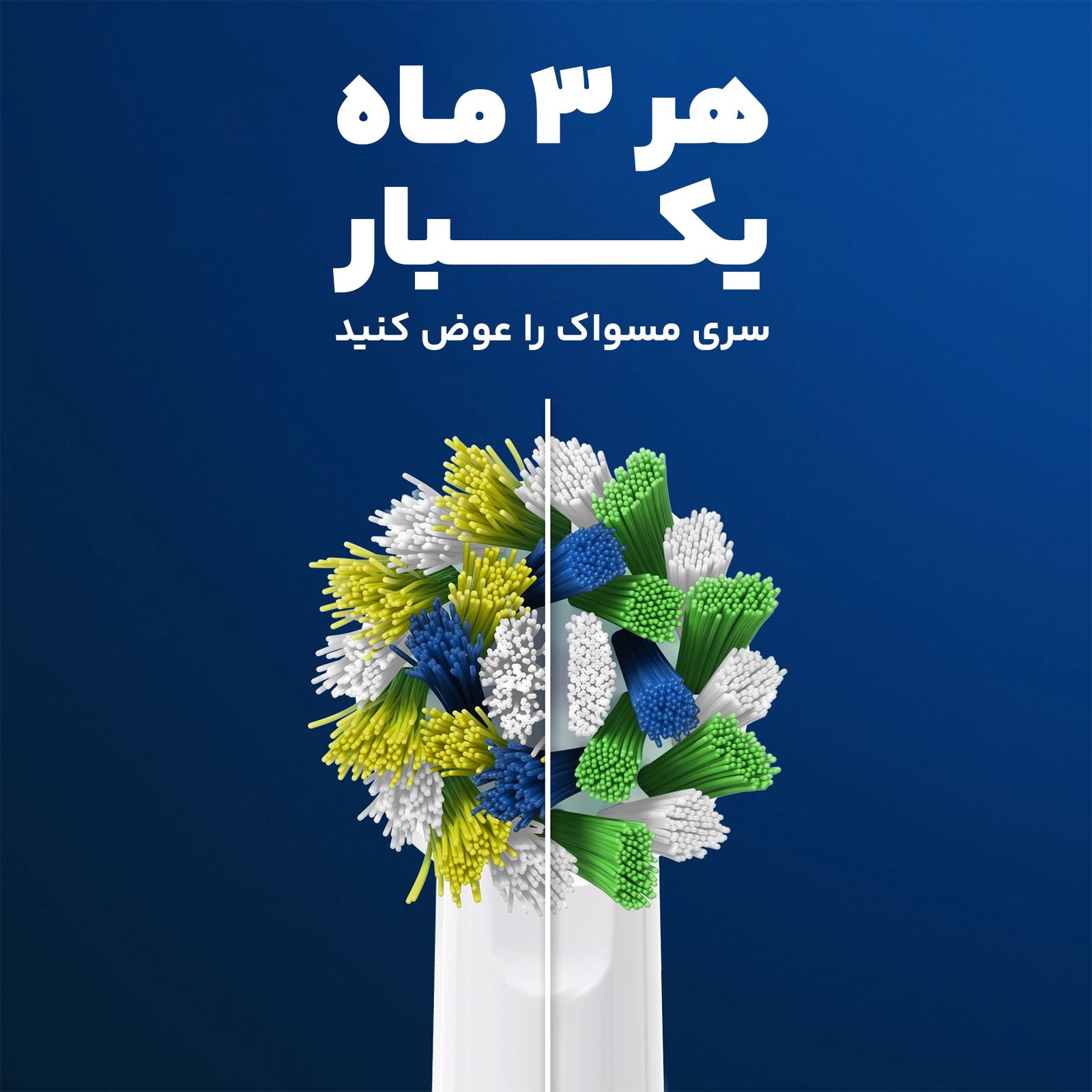 مسواک برقی اورال-بی مدل کراس اکشن - - 5