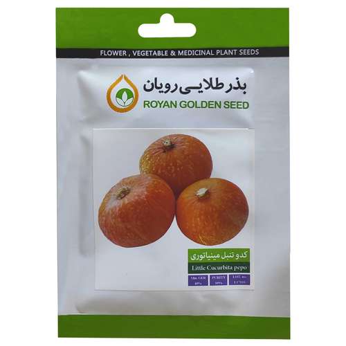  بذر کدو تنبل مینیاتوری بذر طلایی رویان کد BZT-147