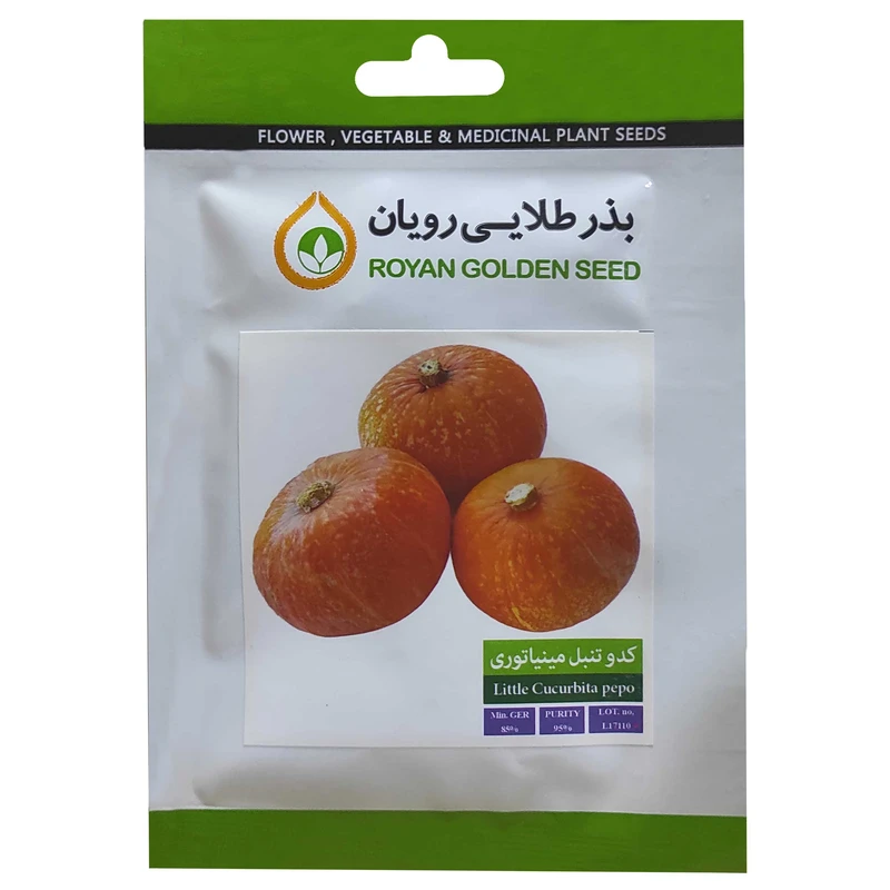 بذر کدو تنبل مینیاتوری بذر طلایی رویان کد BZT-147