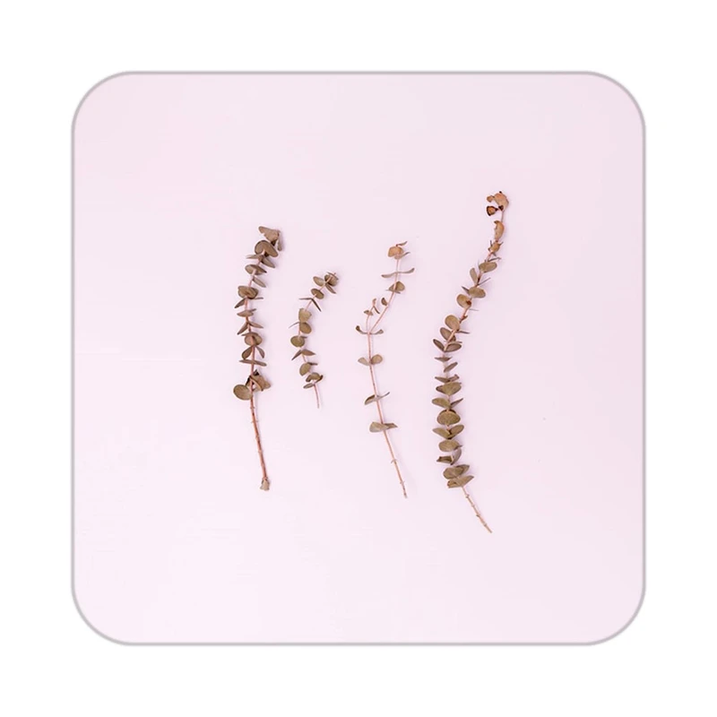 زیر لیوانی کاکتی طرح گل مدل mp18129