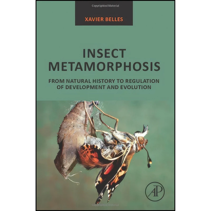 کتاب Insect Metamorphosis اثر Xavier Belles انتشارات Academic Press