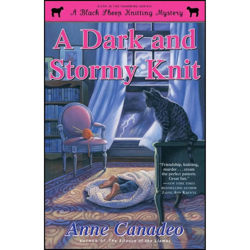 کتاب A Dark and Stormy Knit  اثر Anne Canadeo انتشارات Gallery Books