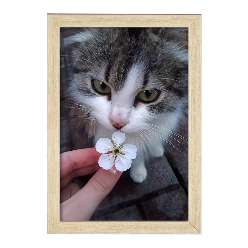 تابلو خندالو مدل گربه (Cat) کد F1321