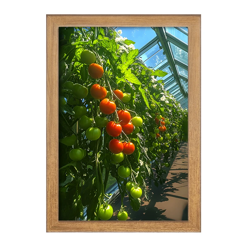 تابلو خندالو مدل بوته گوجه فرنگی کد F12737
