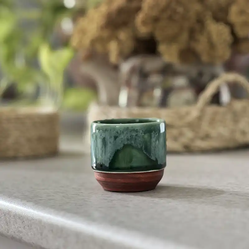 فنجان مدل جنگل