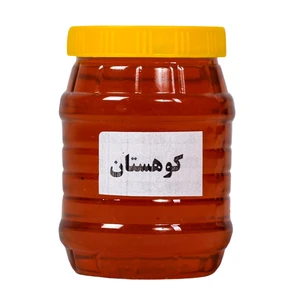 عسل کوهستان -500 گرم