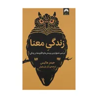 کتاب زندگی معنا اثر جیمز هالیس نشر میلکان