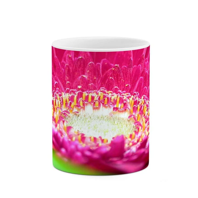 ماگ کاکتی مدل گل کد mgh12119