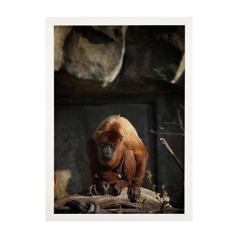 تابلو مدل دیواری طرح میمون کد EA-1166