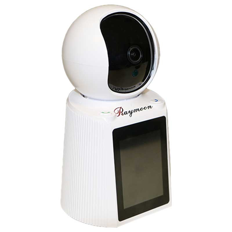 دوربین مداربسته تحت شبکه رایمون مدل RW300