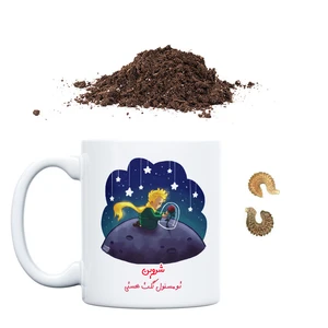 خاک و بذر گل همیشه بهار طرح شازده کوچولو مدل شروین به همراه گلدان حس آمیزی