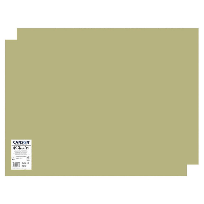 مقوا کانسون مدل Mi-Teintes کد 480 سایز 50x65 سانتی متر بسته 2 عددی مقوا کانسون مدل Mi-Teintes کد 480 سایز 50x65 سانتی متر بسته 2 عددی