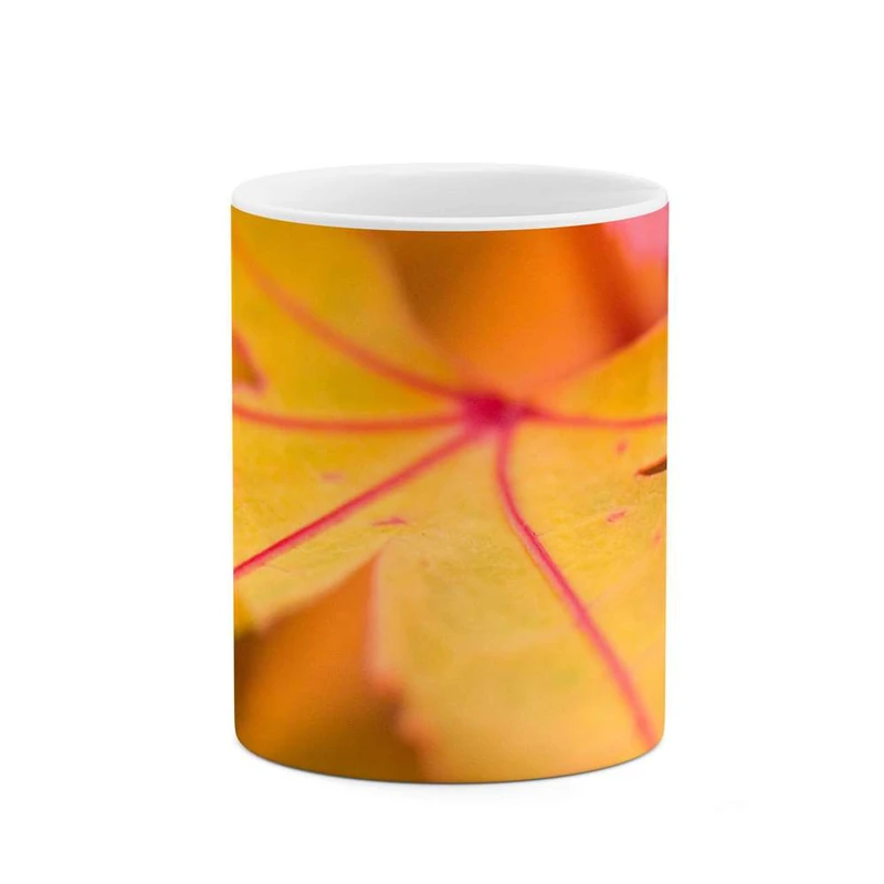 ماگ کاکتی مدل برگ کد mgh12035