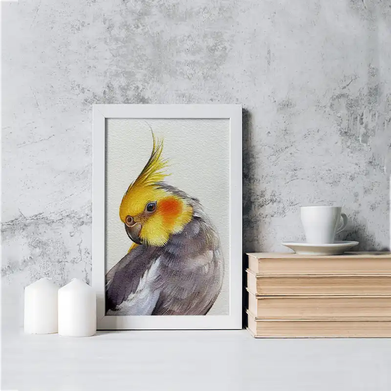 تابلو خندالو مدل عروس هلندی کد 29558