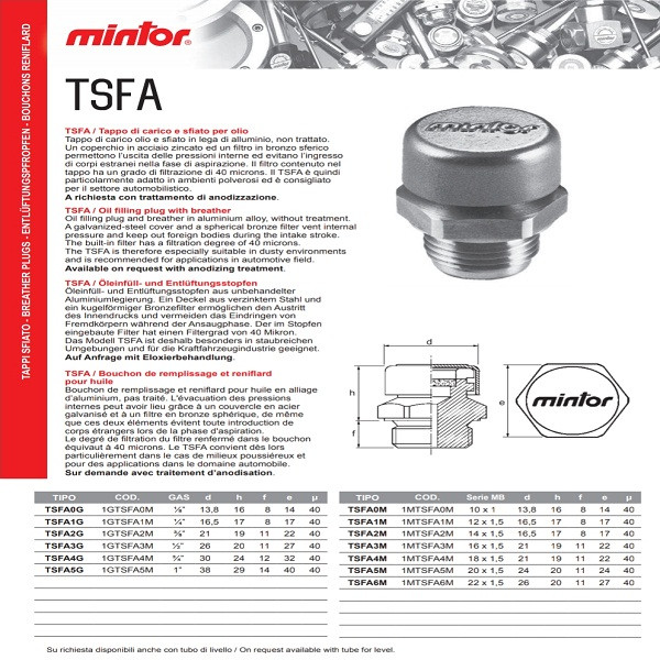 سوپاپ تخلیه بخار روغن هیدرولیک مینتور مدل 1GTSFA1M