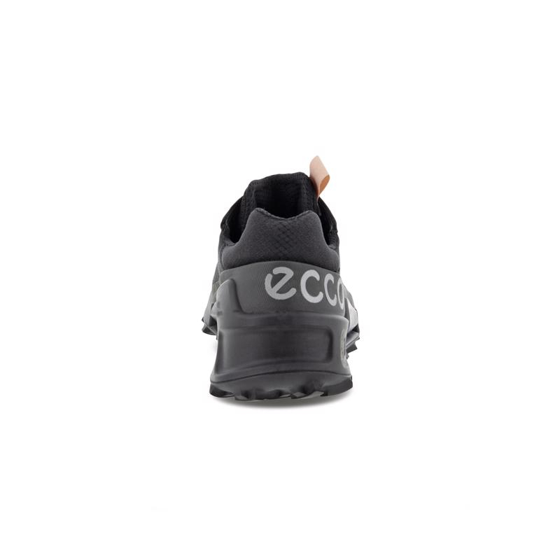 کفش پیاده روی زنانه اکو مدل BIOM 2.1 X CTRY W LOW GTX
