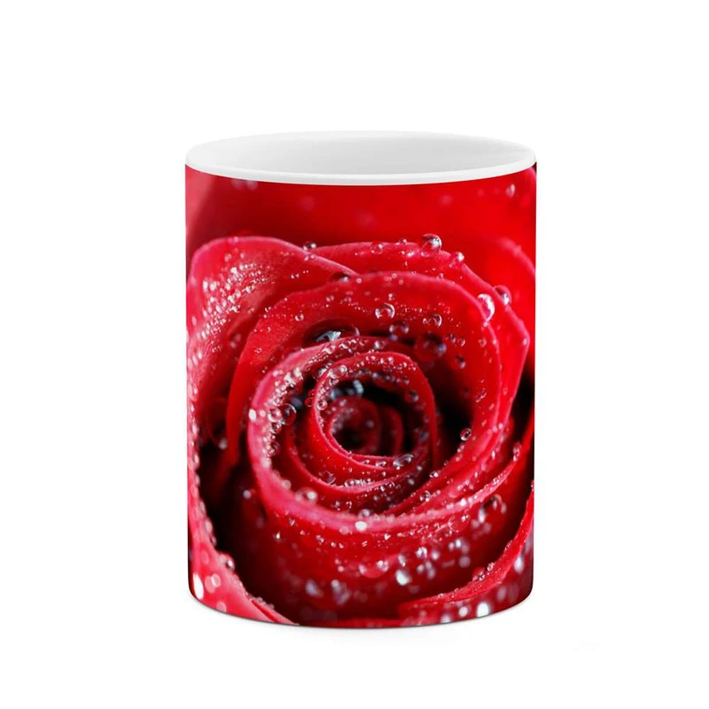 ماگ کاکتی مدل گل رز کد mgh12024