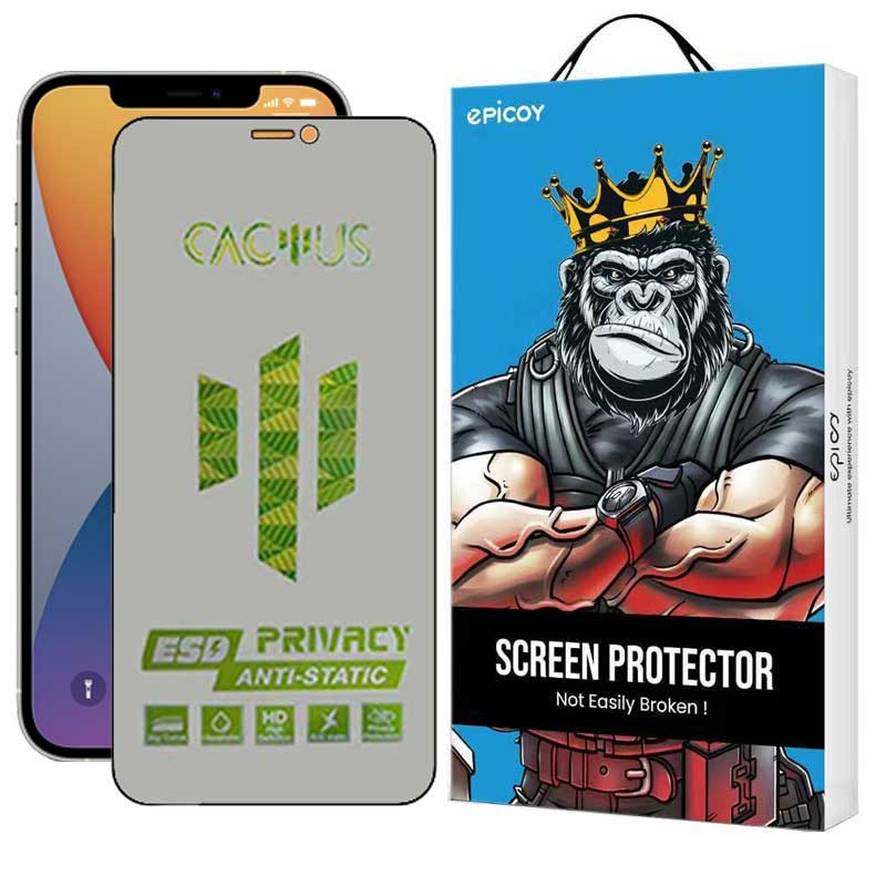  محافظ صفحه نمایش حریم شخصی اپیکوی مدل Cactus-ESD-Privacy مناسب برای گوشی موبایل اپل iPhone 12 Pro / 12