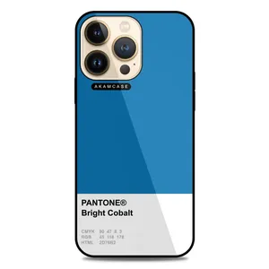 AKAM AMC-WA13PRO-PANTONE-2 Cover For Apple iPhone 13 Pro
