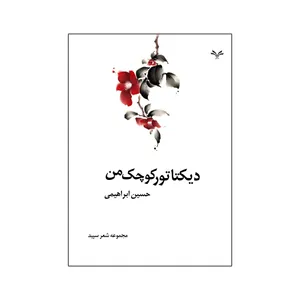 کتاب دیکتاتور کوچک من اثر حسین ابراهیمی انتشارات نامه مهر 