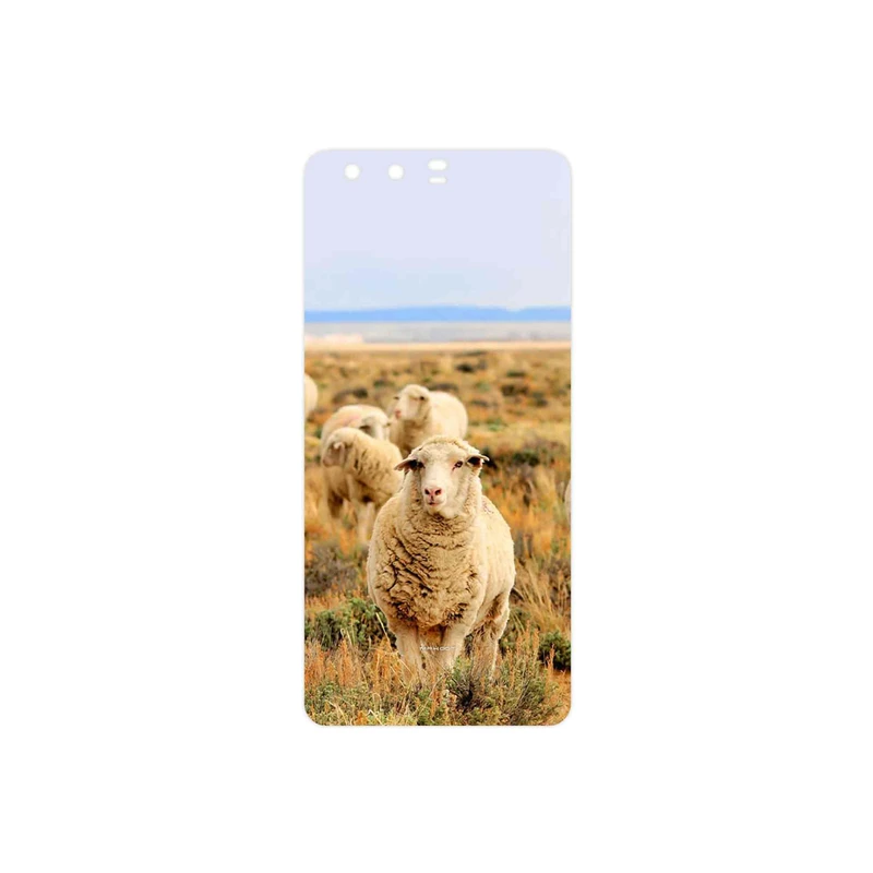 برچسب پوششی ماهوت مدل Sheep مناسب برای گوشی موبایل هوآوی P10