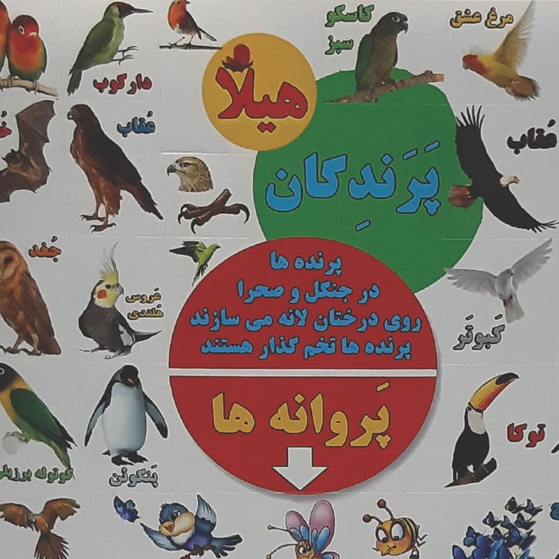 عکس شماره 2