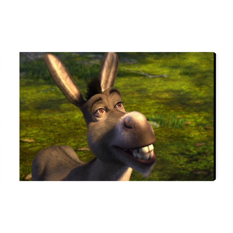 تابلو شاسی عرش مدل فانتزی انیمیشن شرک کد As4108