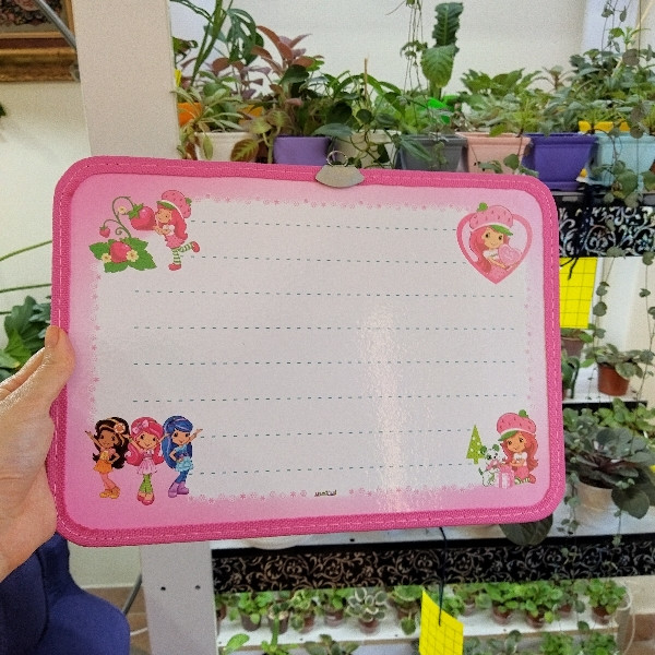 تخته وایت برد آرین تحریر مدل توت فرنگی سایز 34x24 سانتی متری
