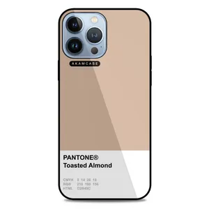 AKAM AMC-WA13PROMAX-PANTONE-25 Cover For Apple iPhone 13 Pro Max