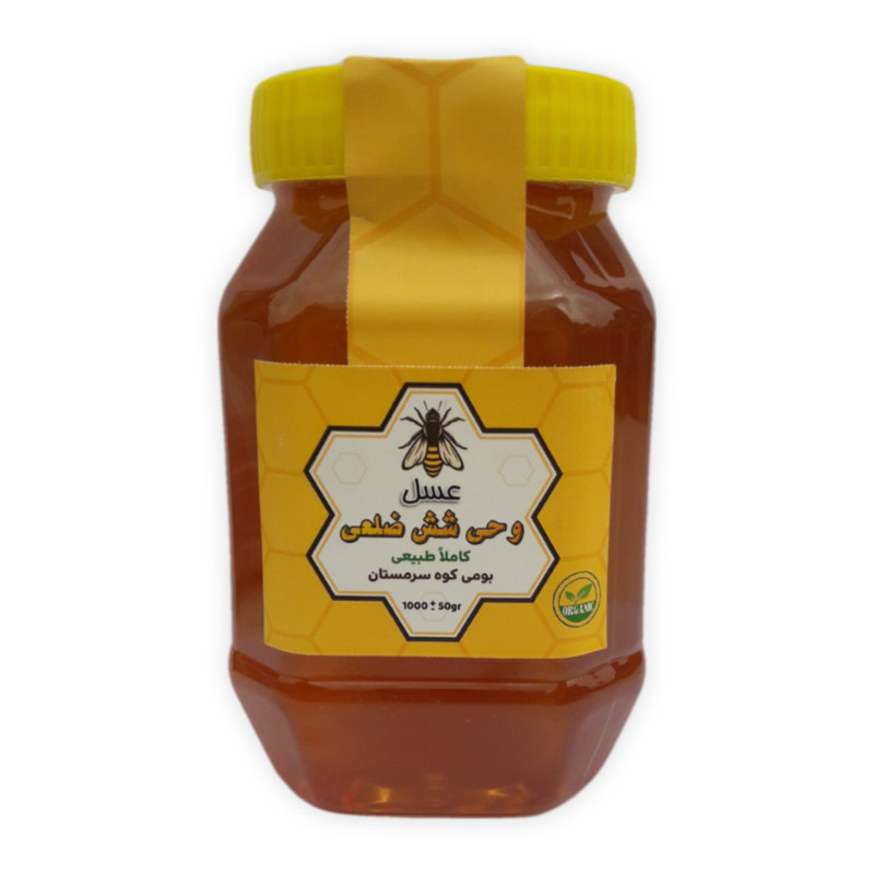 عسل وحی شش ضلعی - 1 کیلوگرم