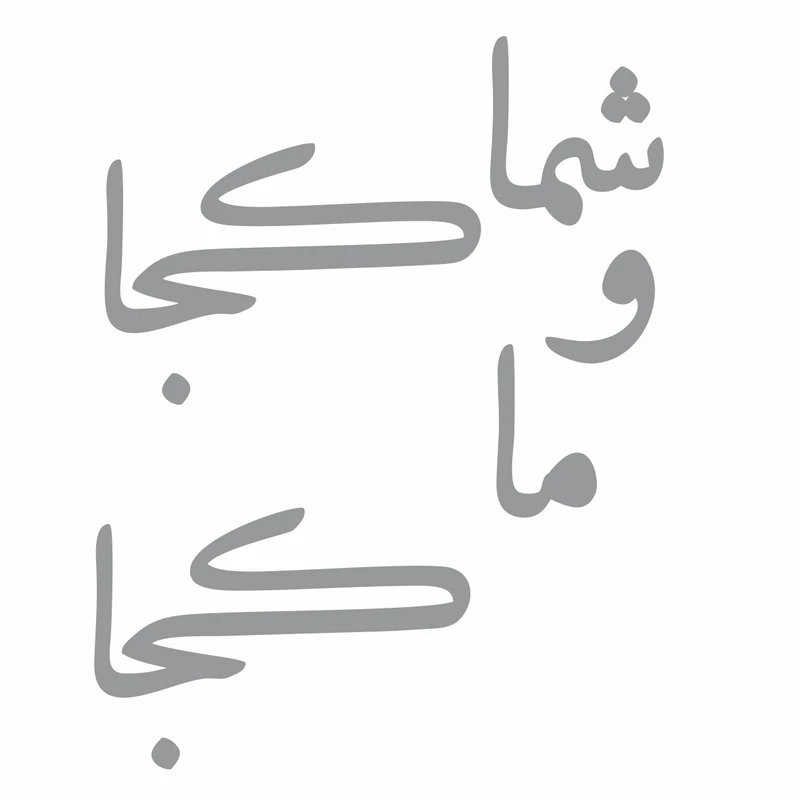 برچسب بدنه خودرو سهیل چاپ طرح شما کجا و ما کجا؟ کد S01