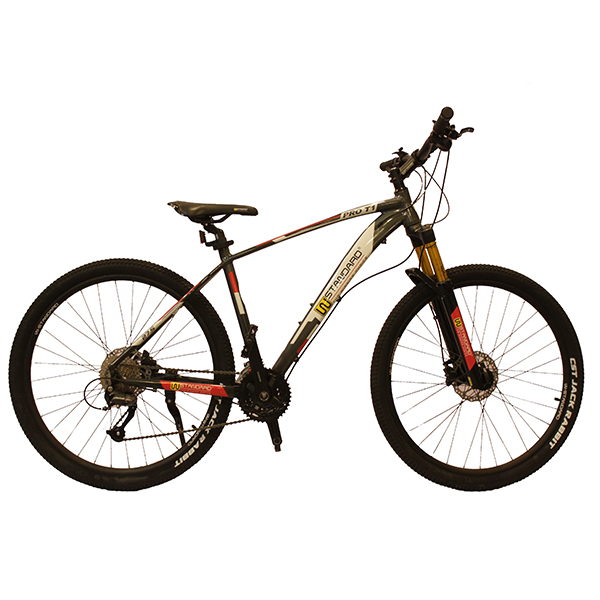 دوچرخه کوهستان دبلیو استاندارد مدل Prot1 سایز 27.5