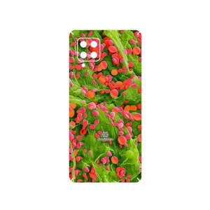 MAHOOT Atom Universe 3 Cover Sticker for Samsung Galaxy A42
