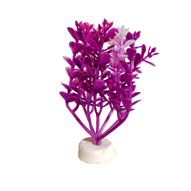 گیاه تزیینی آکواریوم مدل s.planet بسته سه عددی