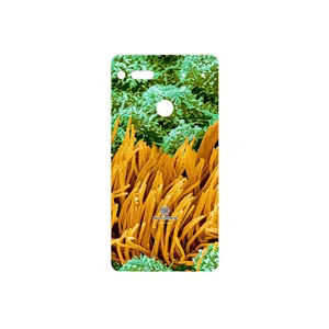 MAHOOT Atom Universe 6 Cover Sticker for Essential PH1