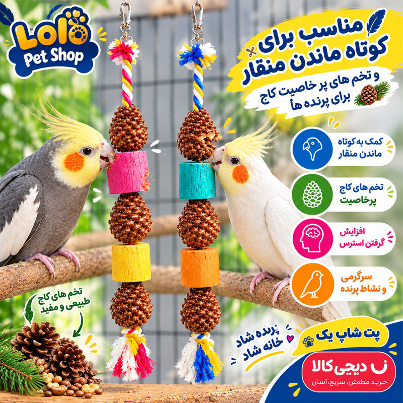 آویز قفس پرندگان مدل کاج مجموعه 2 عددی