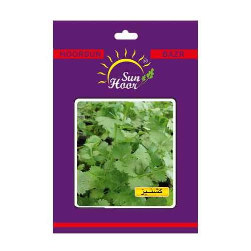 بذر سبزی گشنیز هورسان مدل  HB100112