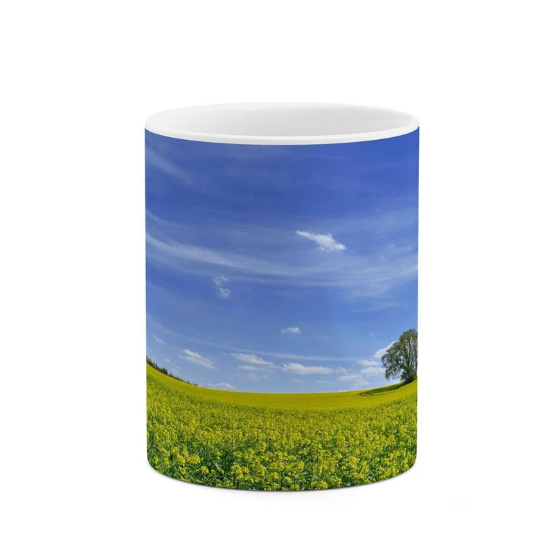 ماگ کاکتی مدل منظره کد mgh13253