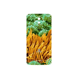 MAHOOT Atom Universe 6 Cover Sticker for Motorola Moto C Plus