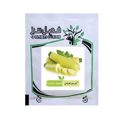 بذر کدو سبز فصل سبز کد FSSEED-100g-23