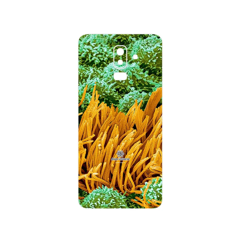 برچسب پوششی ماهوت مدل Atom Universe 6 مناسب برای گوشی موبایل سامسونگ Galaxy J8