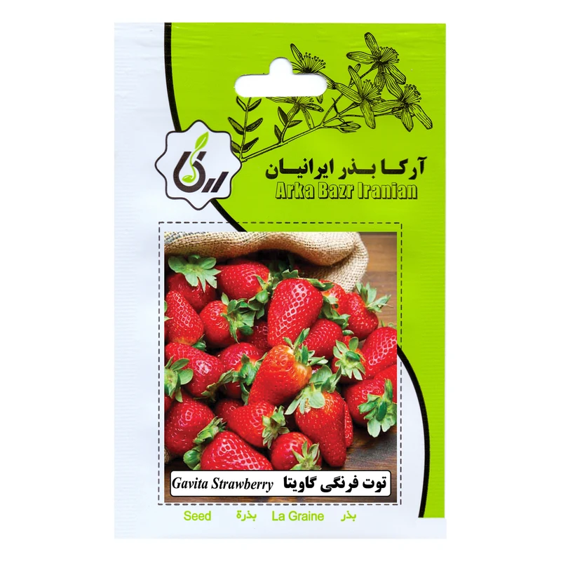 بذر توت فرنگی گاویتا آرکا بذر ایرانیان مدل B74