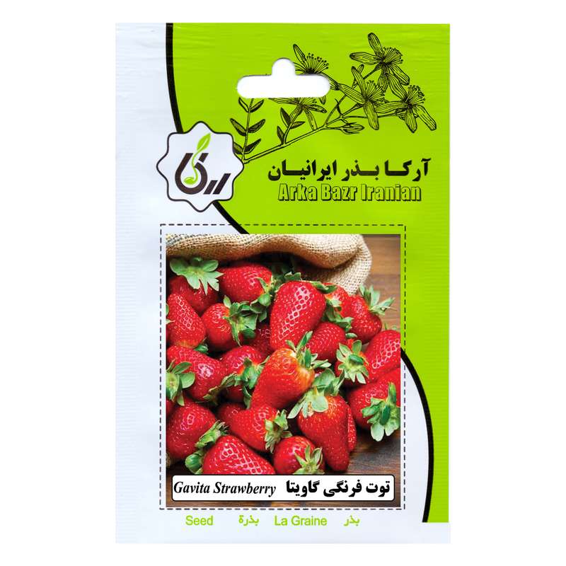 بذر توت فرنگی گاویتا آرکا بذر ایرانیان مدل B74