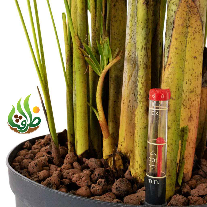کود کامل تقویتی نخل اریکا ظرافت مدل KO21151 وزن 100 گرم