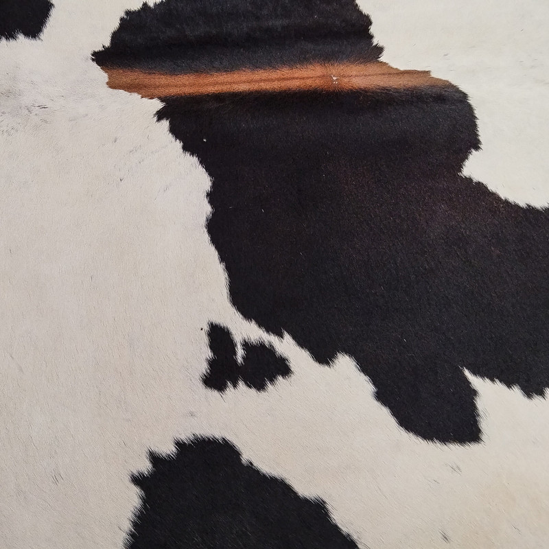 فرش پوست مدل AA-00656 فرش پوست مدل AA-00656