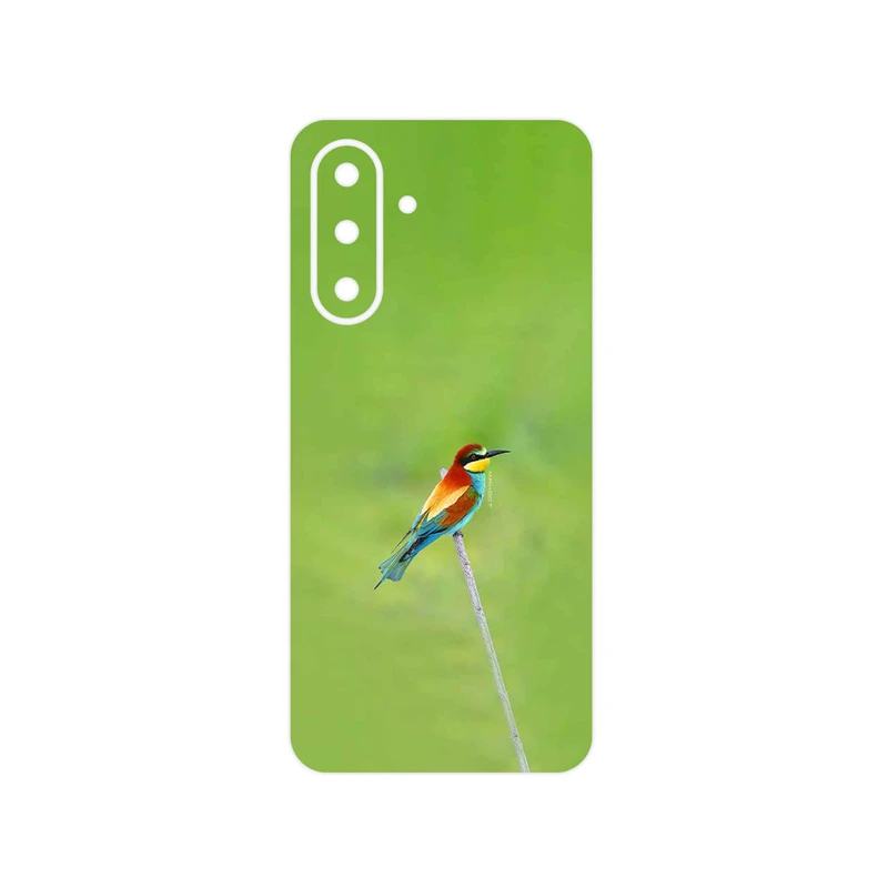 برچسب پوششی ماهوت مدل European bee-eater مناسب برای گوشی موبایل سامسونگ Galaxy A26