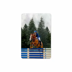 MAHOOT Equestrianism Cover Sticker for Apple iPad mini GEN 5 2019 A2133